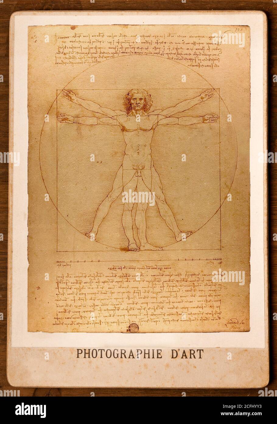 Homme de Vitruvian de Léonard de Vinci sur une carte du Cabinet Banque D'Images