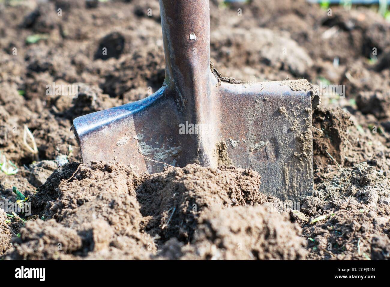 pelle en fer coincée dans la masse de creusée vers le haut Banque D'Images