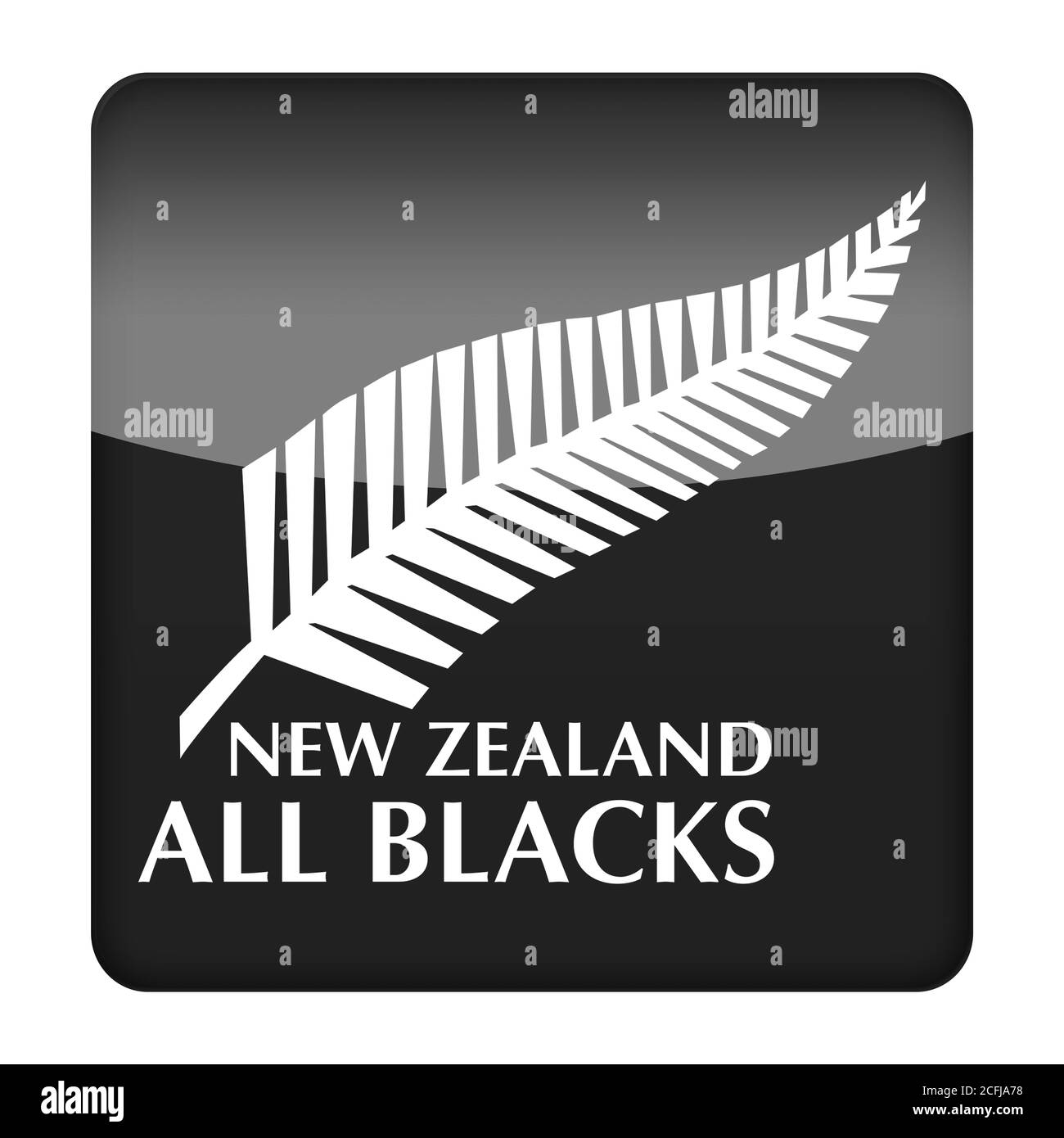 Rugby de Nouvelle-Zélande Banque D'Images