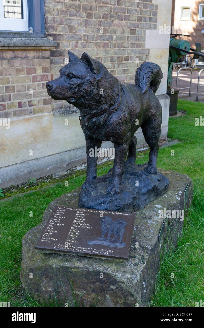 The British Antarctic Survey Sledge Dog Monument, Scott Polar Research Institute (Polar Museum), Lensfield Road, Cambridge, Cambridgeshire, Royaume-Uni. Banque D'Images