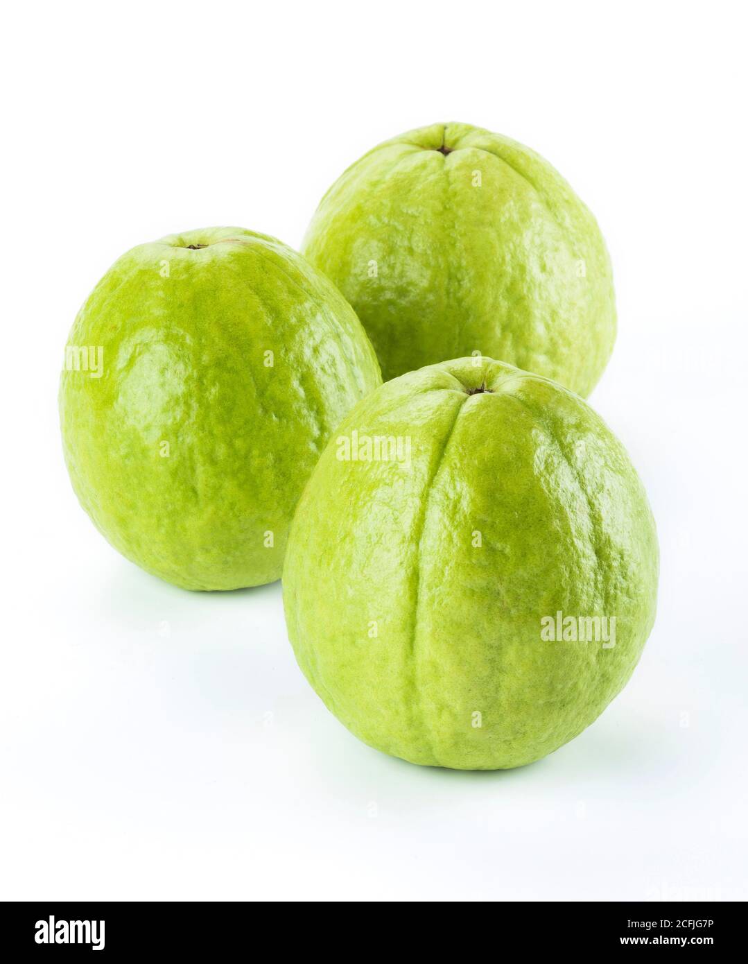 Grande Guava isolée sur fond blanc Banque D'Images