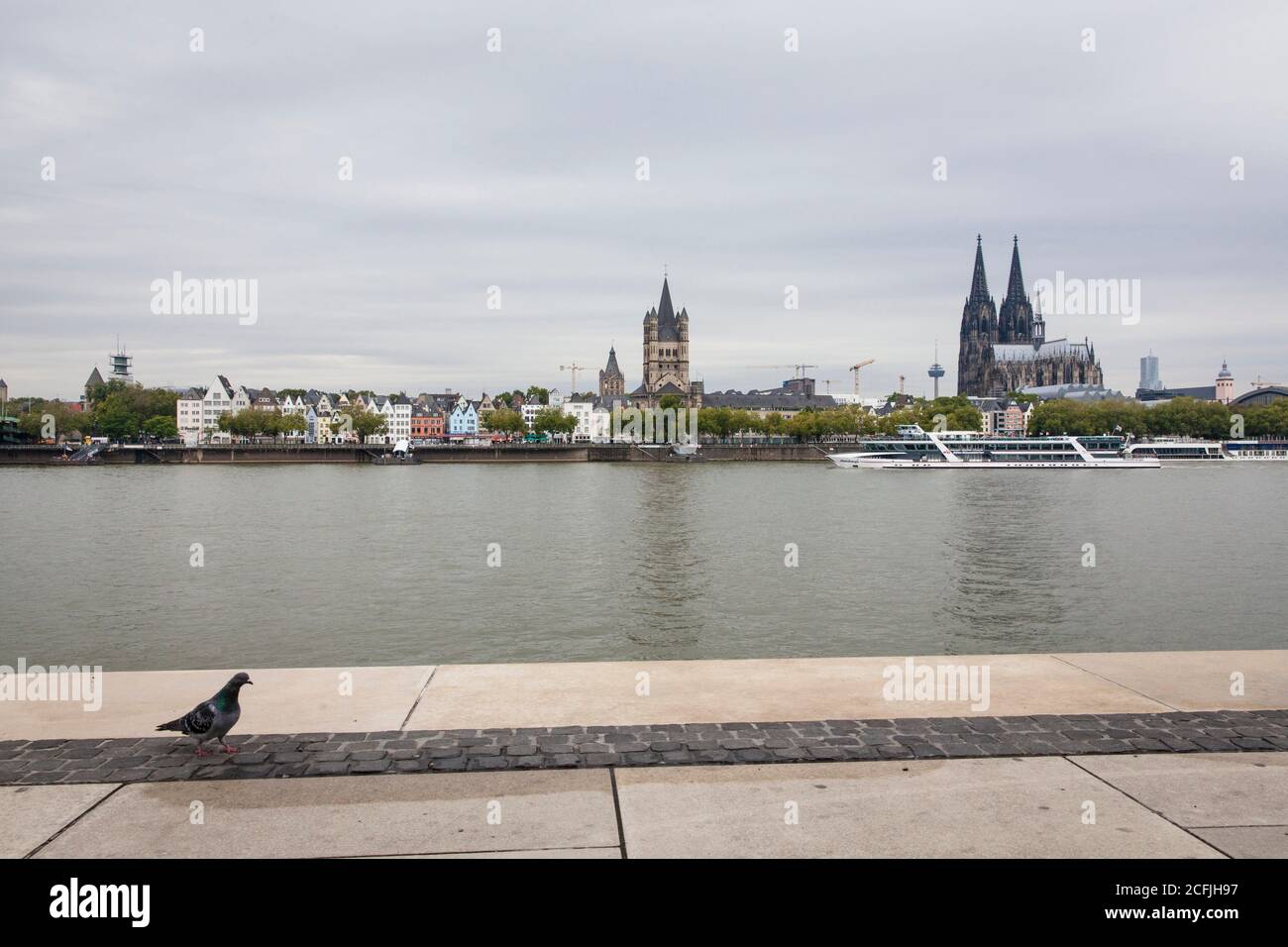 Vue sur le Rhin jusqu'à la vieille ville avec l'église romane Gross Saint-Martin et la cathédrale gothique, pigeon, Cologne, Allemagne Banque D'Images