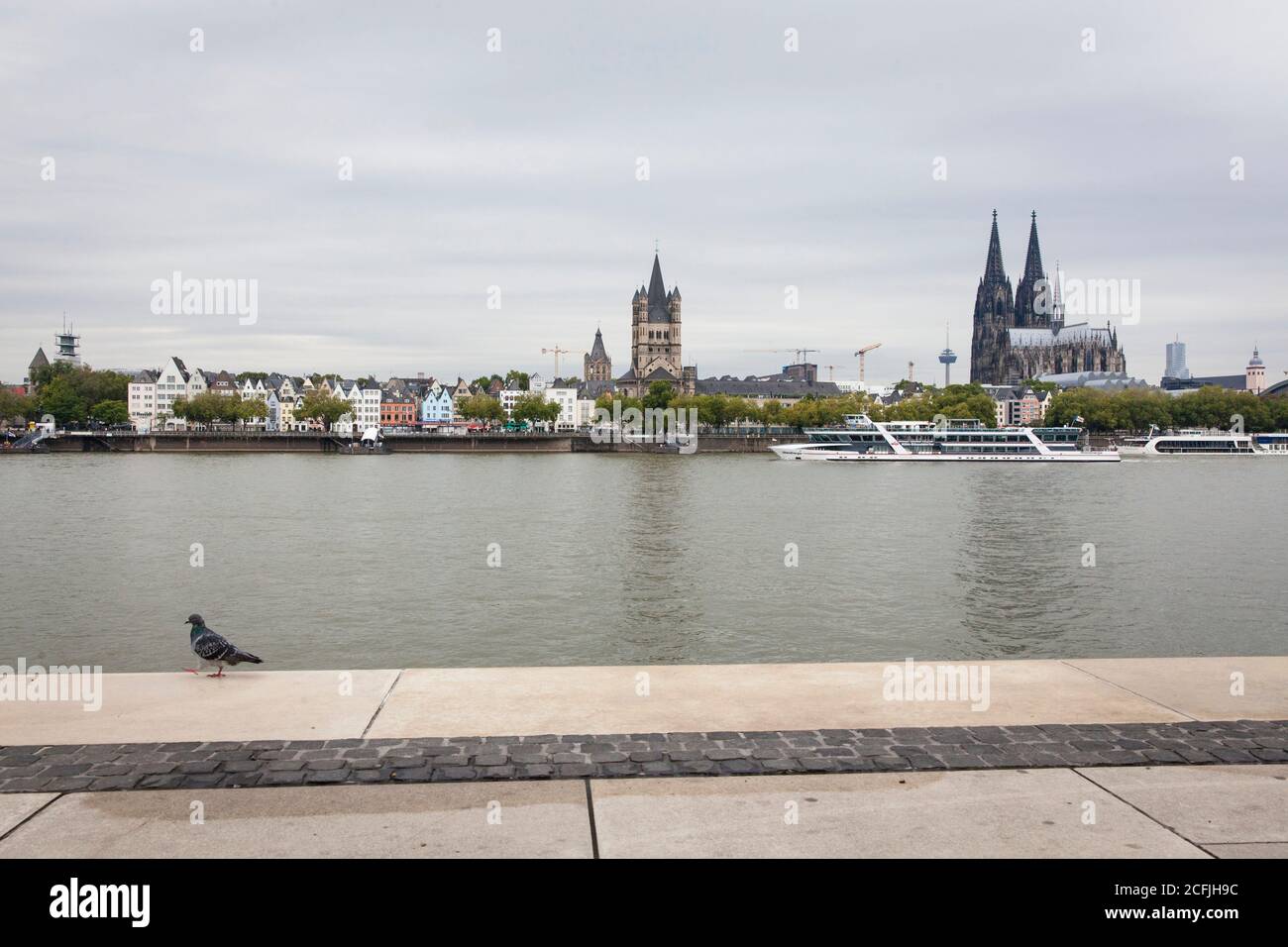 Vue sur le Rhin jusqu'à la vieille ville avec l'église romane Gross Saint-Martin et la cathédrale gothique, pigeon, Cologne, Allemagne Banque D'Images