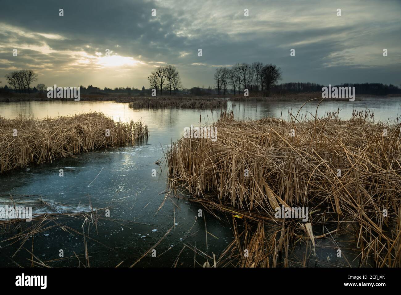 Des roseaux secs dans un lac gelé et des nuages pendant le coucher du soleil Banque D'Images