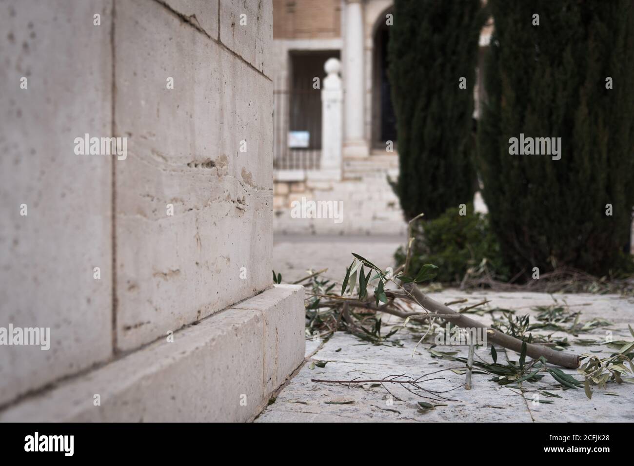 Branche d'olivier sur le terrain lors de la célébration religieuse de la semaine Sainte à Colmenar de Oreja, Madrid, Espagne Banque D'Images