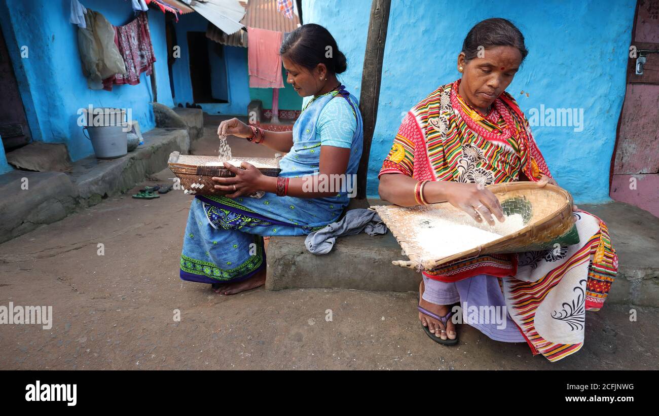 Femmes tribales Paraja dans un village rural près de Koraput à Odisha, en Inde. La région de Koraput est bien connue pour sa vie tribale et sa culture traditionnelle. Banque D'Images