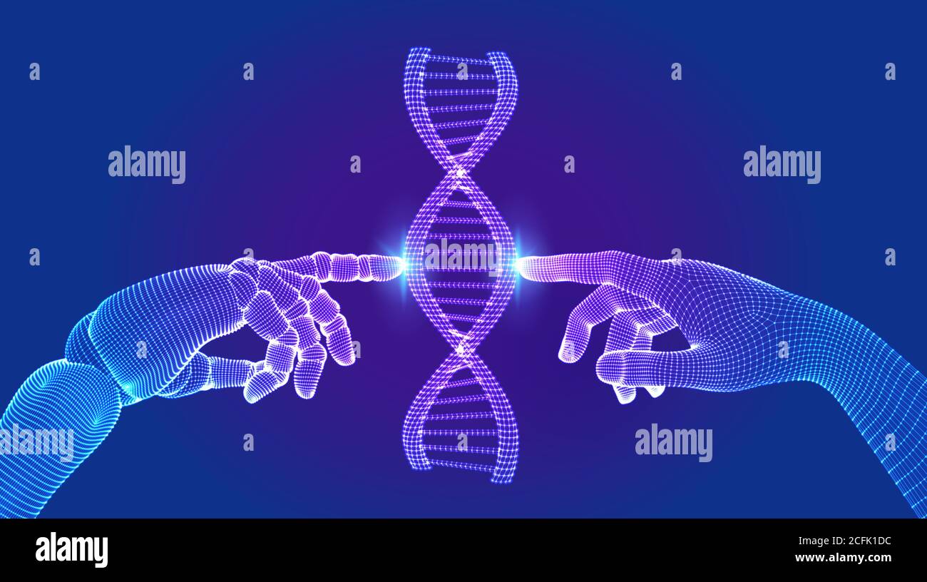 Maillage de structure des molécules de séquence d'ADN filaire. Les mains du robot et de l'homme touchant l'ADN se connectant dans l'interface virtuelle à l'avenir. Artificiel Illustration de Vecteur