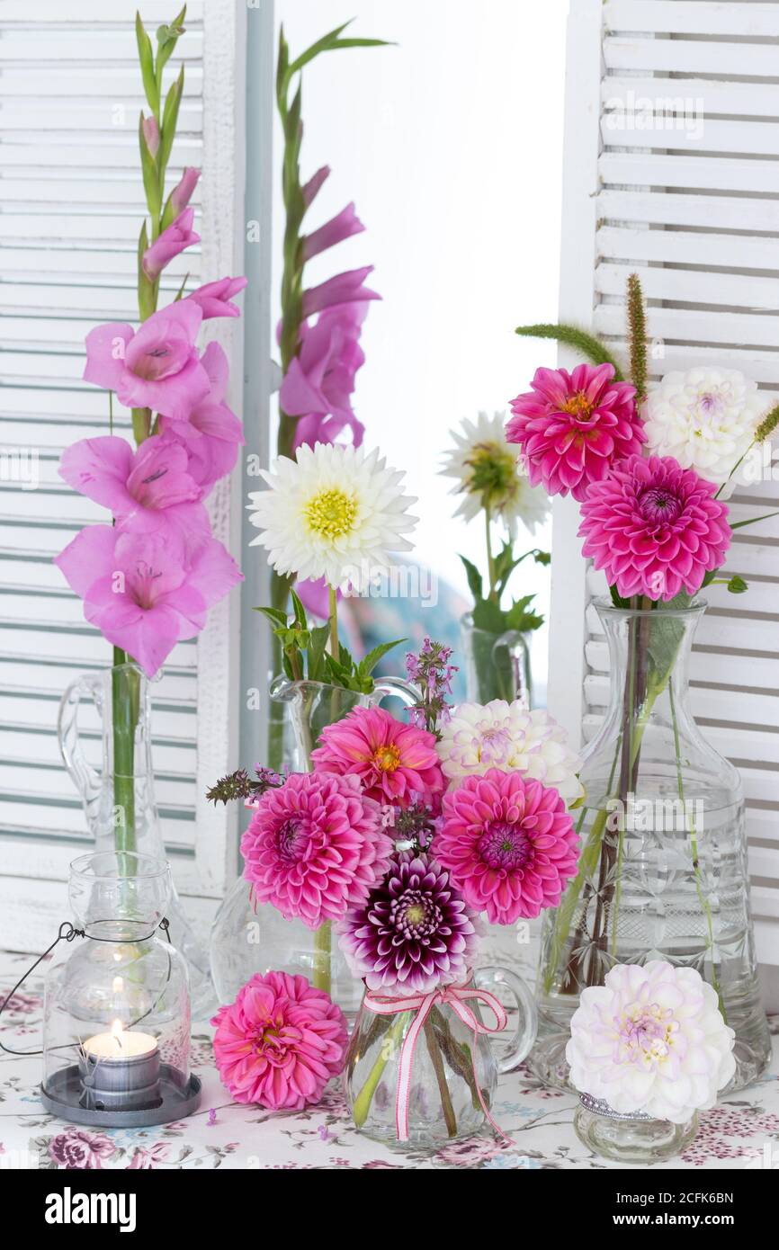 arrangement florales avec dahlias rose et blanc en décanteurs Banque D'Images
