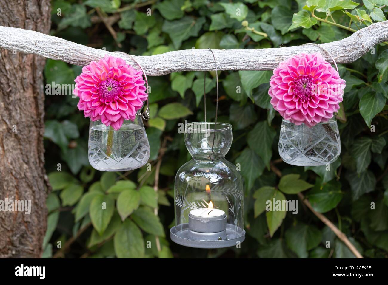 décoration de jardin avec dahlias roses dans vase en verre et table lanterne Banque D'Images