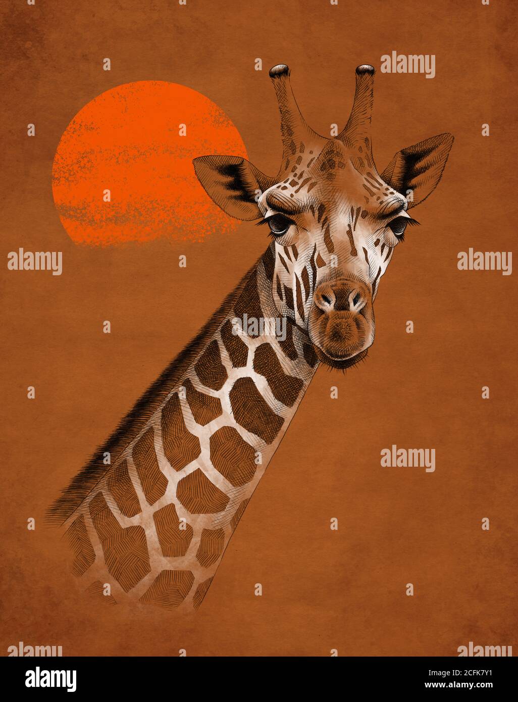 Illustration réaliste colorée et lumineuse du cou et de la tête de la girafe contre le ciel avec soleil rouge chaud Banque D'Images