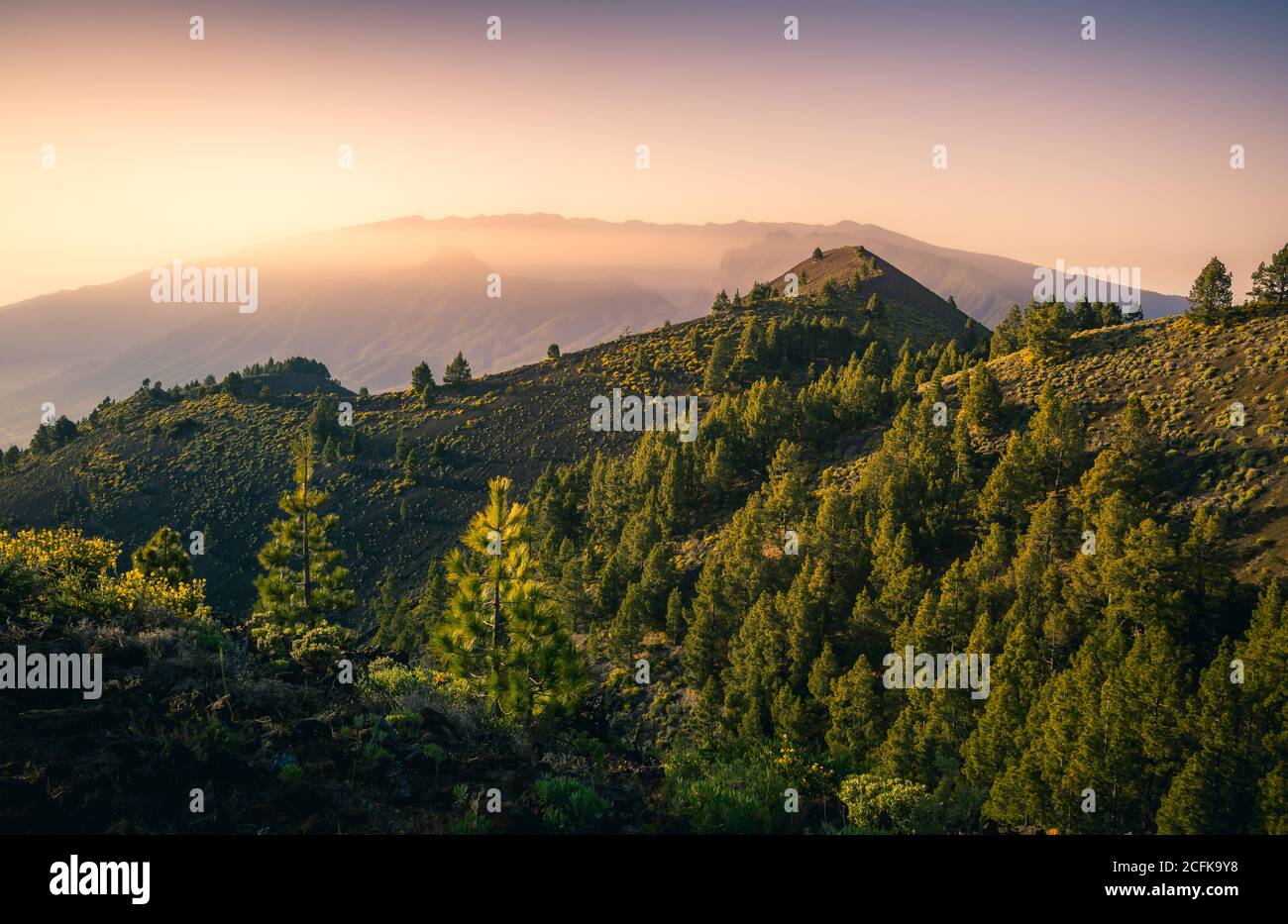 Paysage majestueux de la chaîne de montagnes couverte de nuages et de vallée avec des arbres sous un ciel bleu sans nuages Banque D'Images