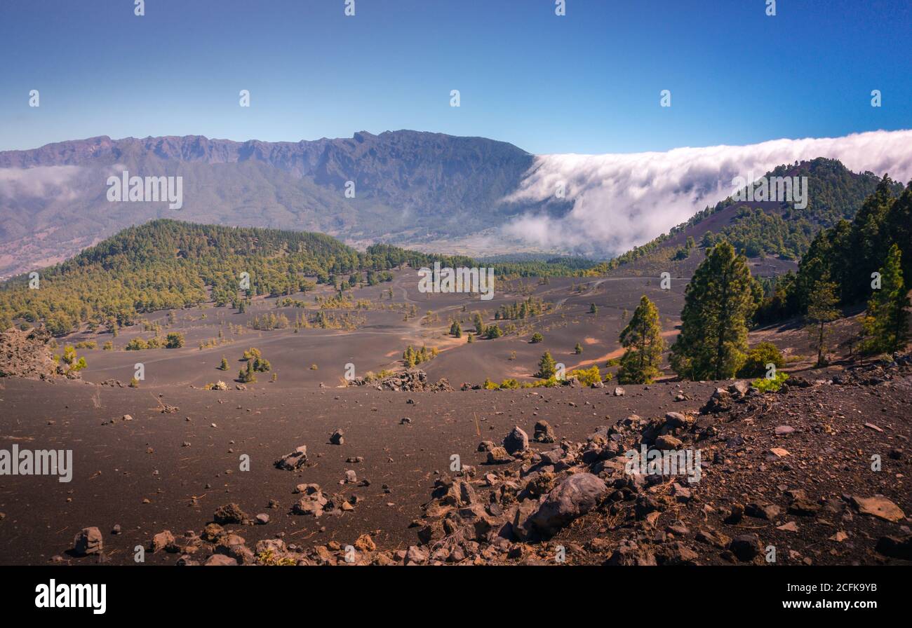 Paysage majestueux de la chaîne de montagnes couverte de nuages et de vallée avec des arbres sous un ciel bleu sans nuages Banque D'Images