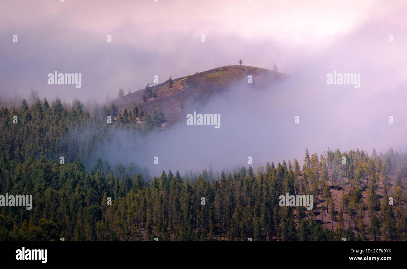 Paysage majestueux de la chaîne de montagnes couverte de nuages et de vallée avec des arbres sous un ciel bleu sans nuages Banque D'Images