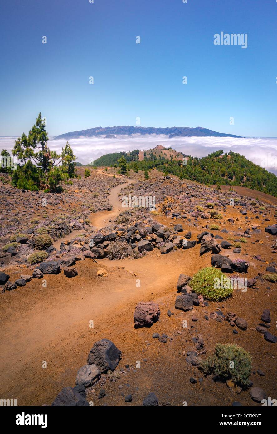 Paysage majestueux de la chaîne de montagnes couverte de nuages et de vallée avec des arbres sous un ciel bleu sans nuages Banque D'Images