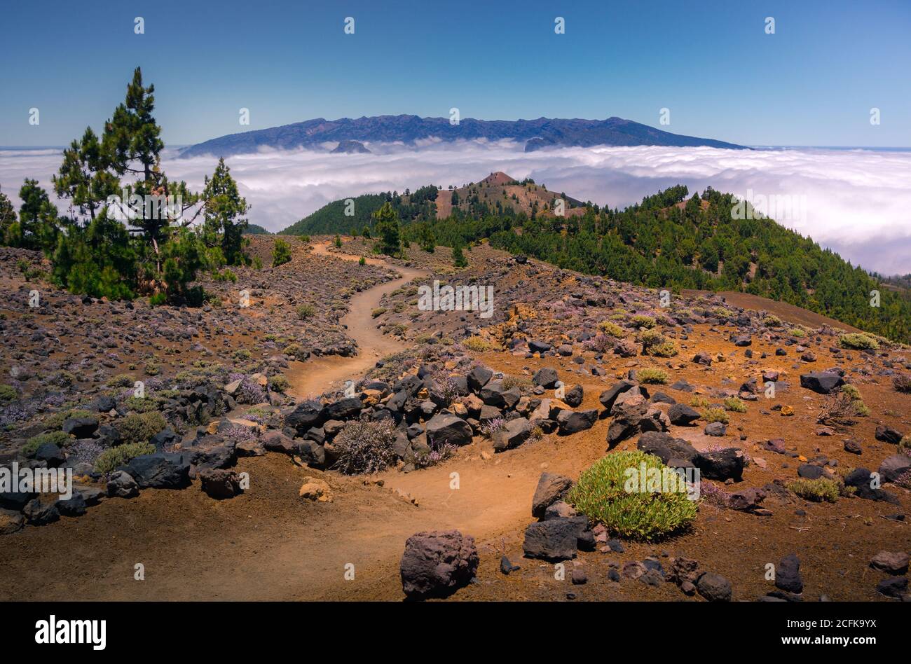 Paysage majestueux de la chaîne de montagnes couverte de nuages et de vallée avec des arbres sous un ciel bleu sans nuages Banque D'Images
