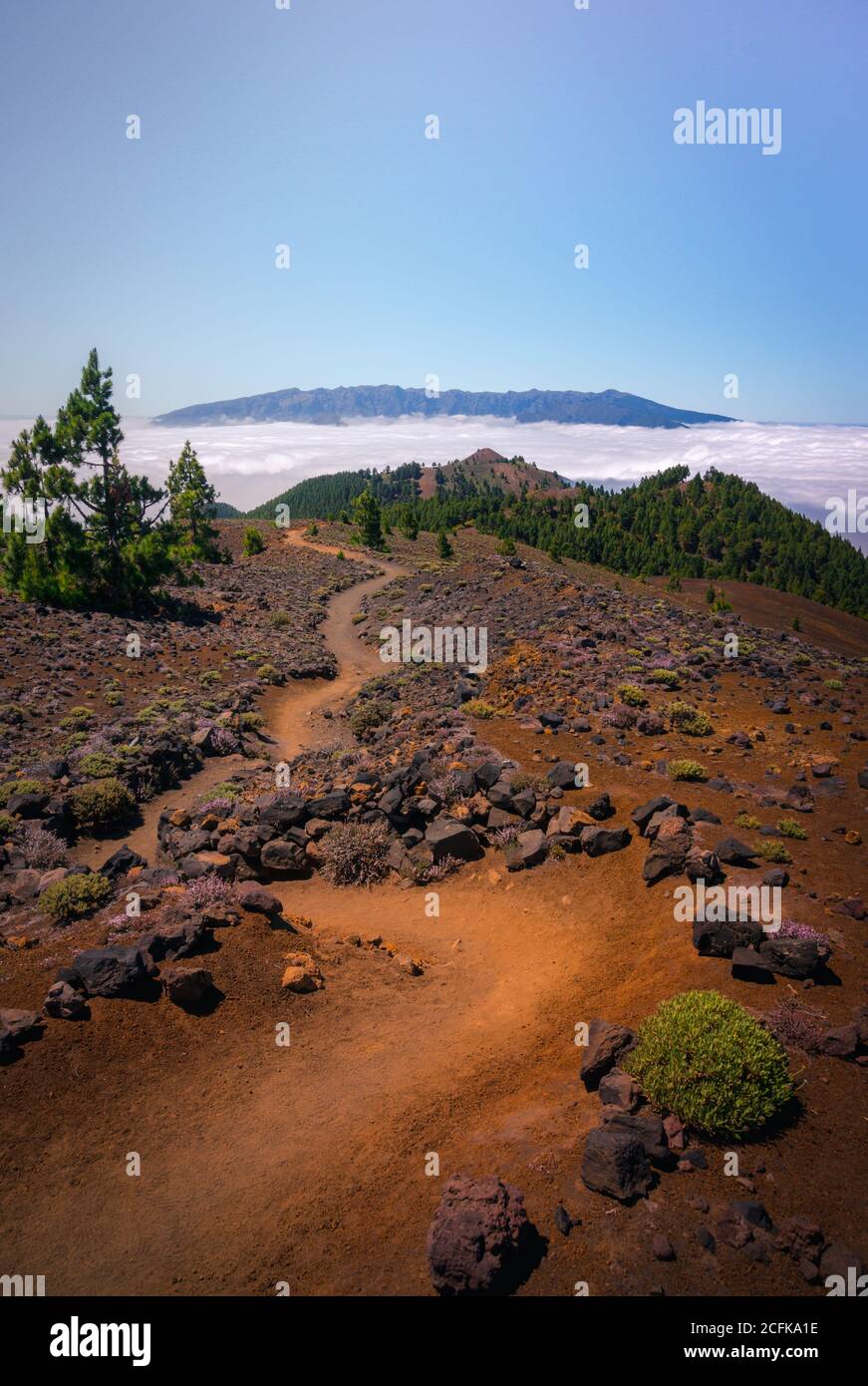 Paysage majestueux de la chaîne de montagnes couverte de nuages et de vallée avec des arbres sous un ciel bleu sans nuages Banque D'Images