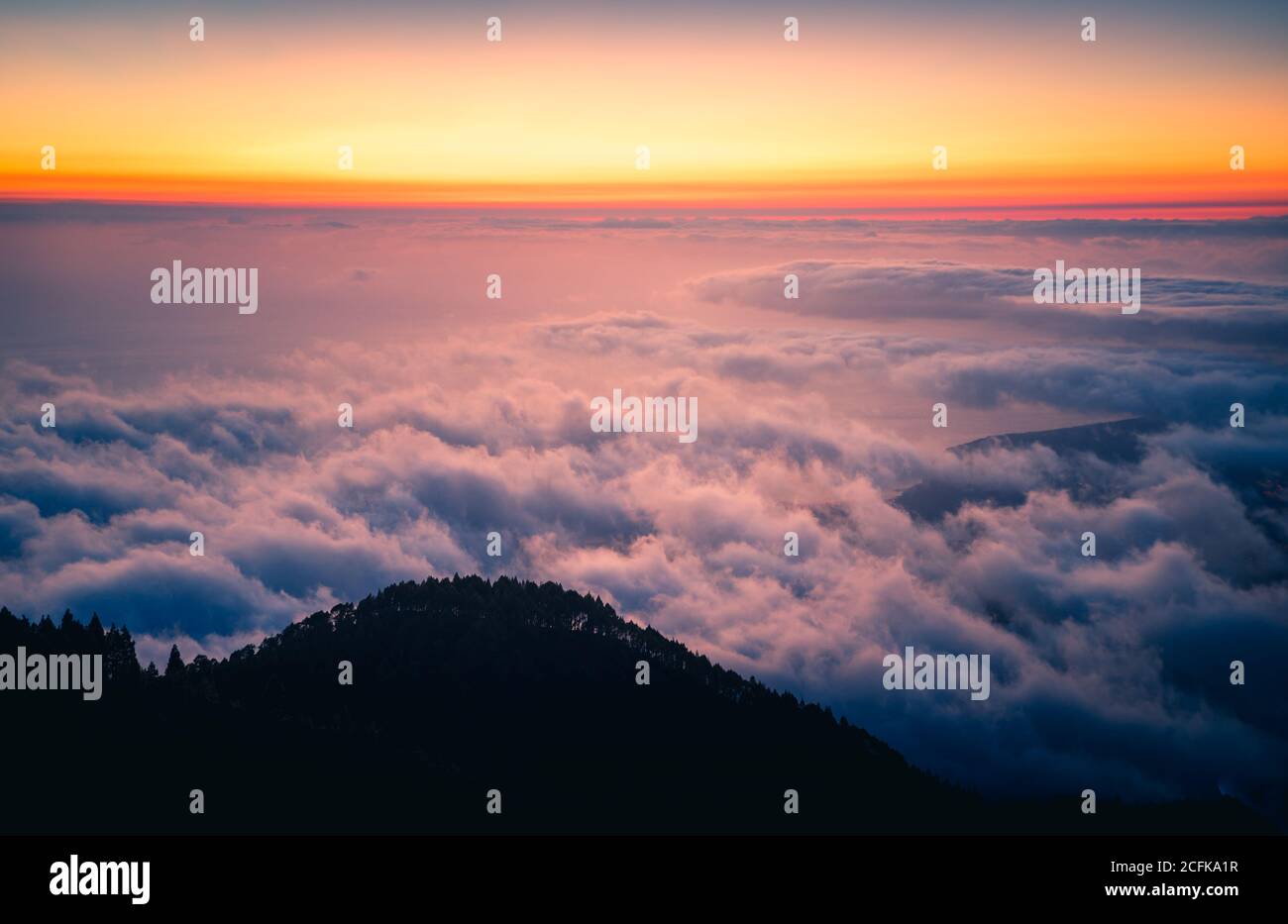 Paysage majestueux de la chaîne de montagnes couverte de nuages et de vallée avec des arbres sous un ciel bleu sans nuages Banque D'Images