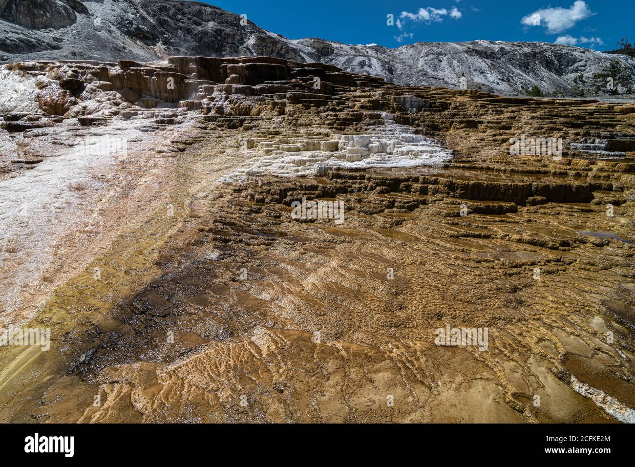 Jupiter Terrace dans la région de Mammoth Hot Springs, parc national de Yellowstone Banque D'Images