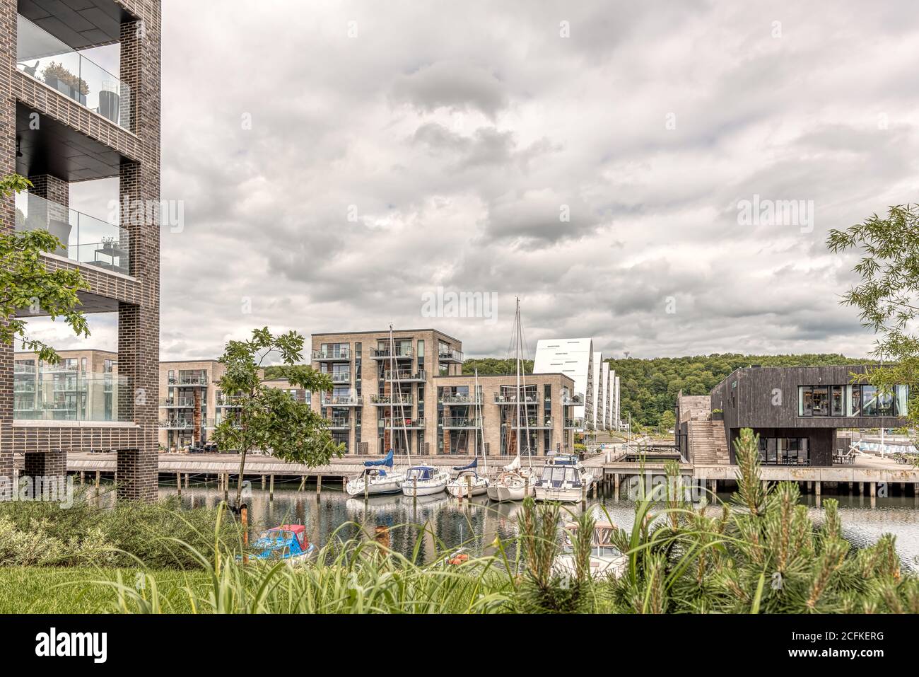 Port de plaisance avec voiliers dans le canal et plantes vertes en premier plan, Vejle, Danemark, 9 juin 2020 Banque D'Images
