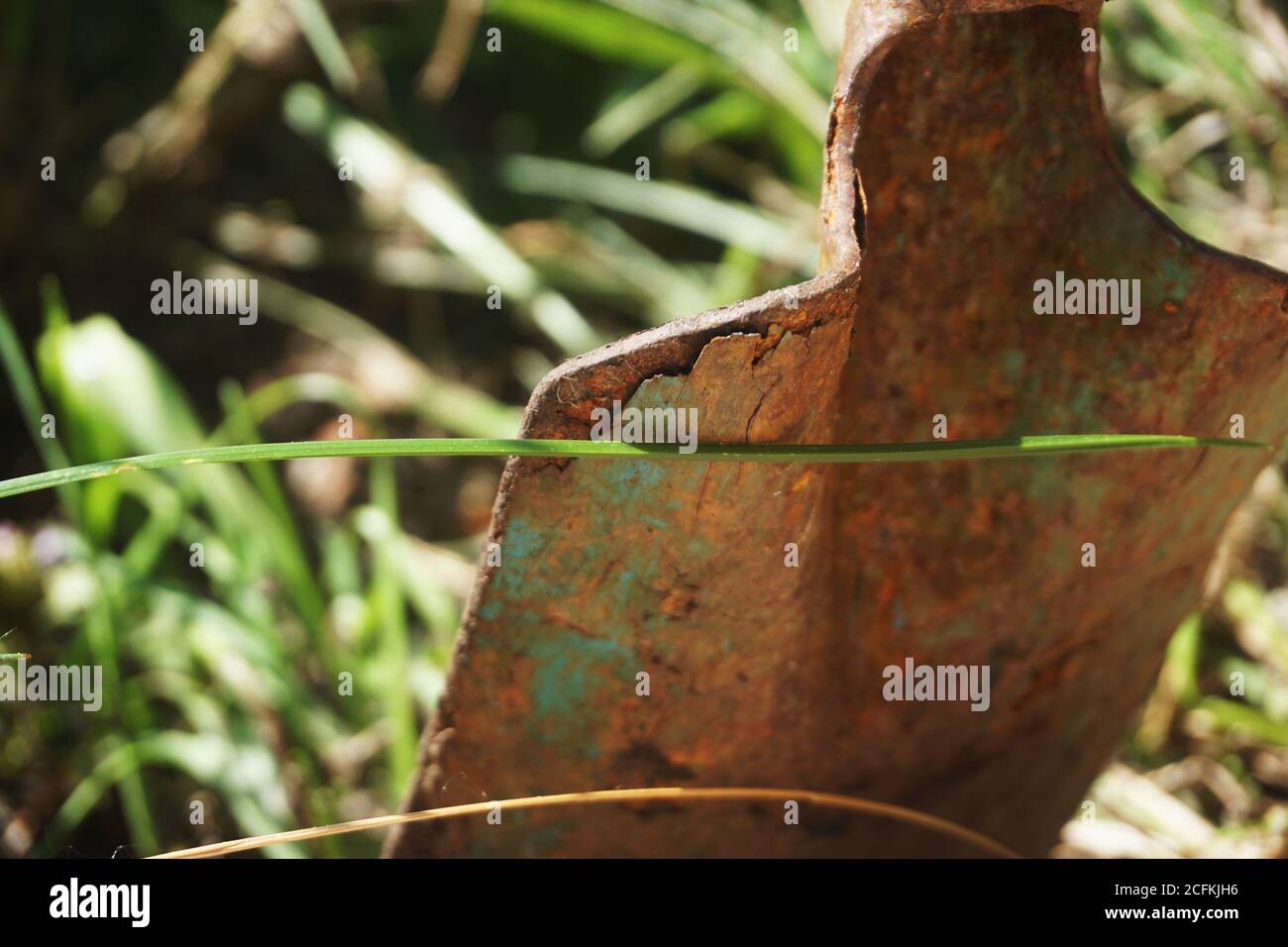 Shovel rouillé dans le jardin Banque D'Images