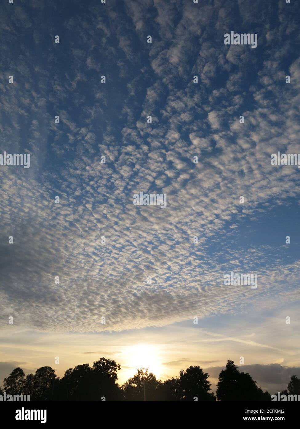 Un coucher de soleil au début de l'automne dans le Northamptonshire avec la formation de nuages ondulés d'un motif de ciel de maquereau. Banque D'Images