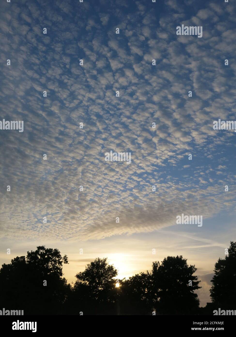 Un coucher de soleil au début de l'automne dans le Northamptonshire avec la formation de nuages ondulés d'un motif de ciel de maquereau. Banque D'Images