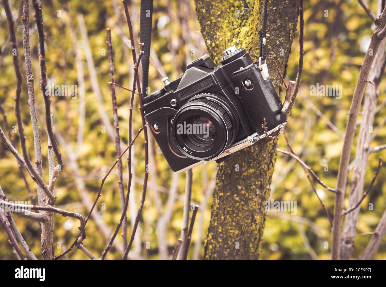 Ancienne caméra analogique accrochée à un arbre. Tons vintage. Banque D'Images