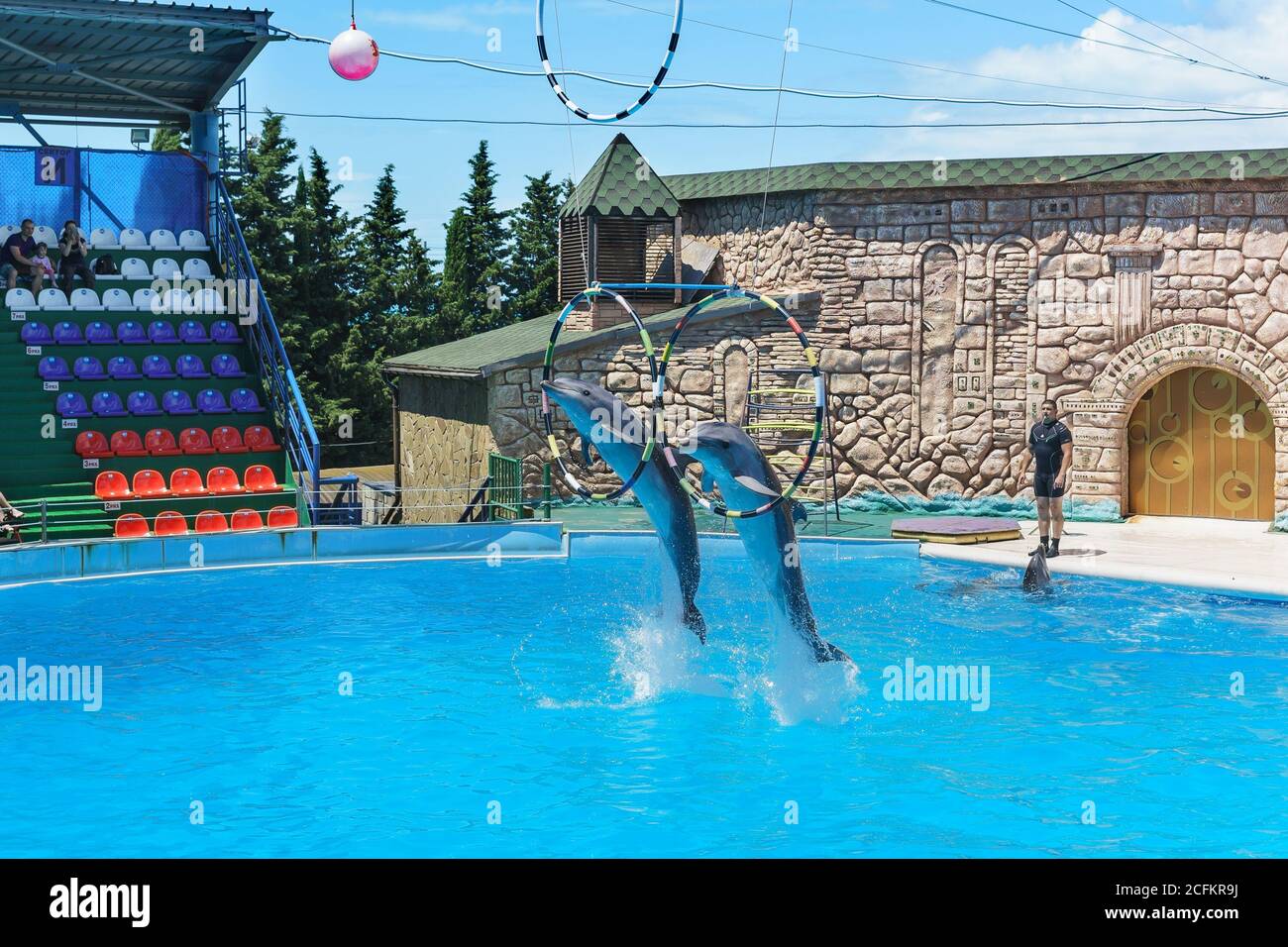 Adler, Sotchi, Krasnodar Krai, Russie - juin 11.2017 : les grands dauphins sont de grands dauphins, ou grands dauphins (lat. Tursiops truncatus) Banque D'Images