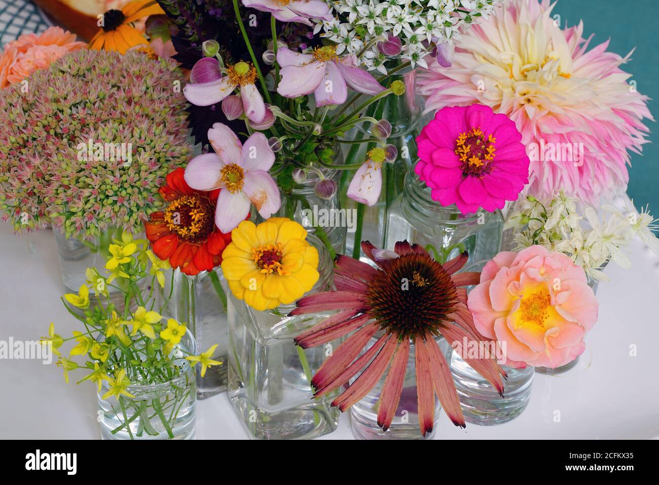 Petits bouquets de fleurs de la fin de l'été avec sedum et zinnia Banque D'Images