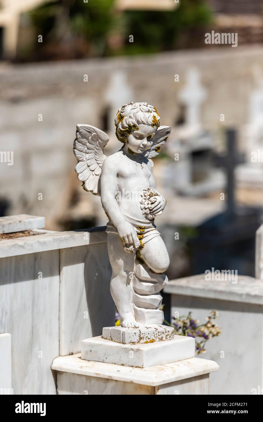 Un Ange Avec Une Colombe Sculpture Dans Le Cimetière La Figure D