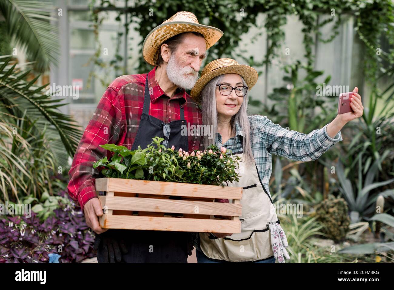 Deux jardiniers seniors, homme et femme en chapeaux de paille et en  chemises à carreaux, prenant des photos ensemble sur un smartphone ou ayant  un appel vidéo, posant avec Photo Stock -