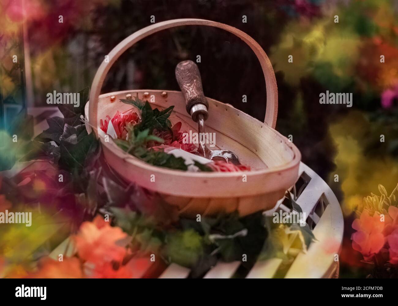 Dans le jardin Banque D'Images