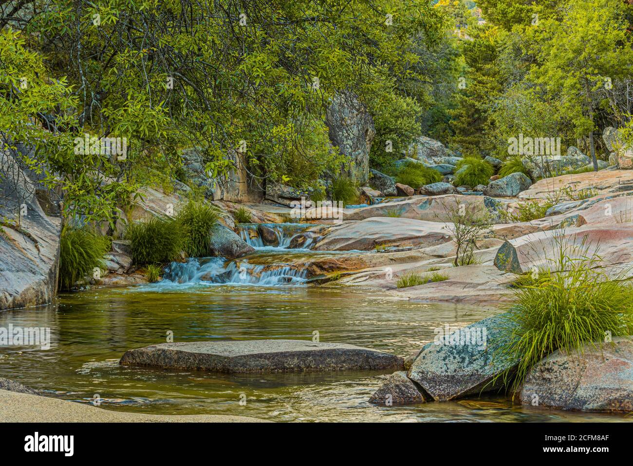 Ruisseau Quebrantaherraduras dans le parc national de la Pedriza Guadarrama. Madrid. espagne. Banque D'Images