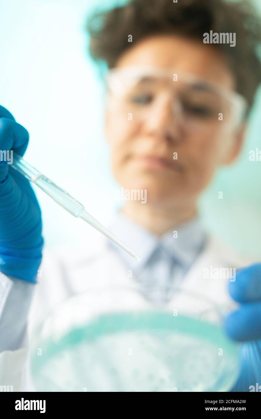 Mains gantées d'une travailleuse de laboratoire tenant une pipette en plastique boîte de pétri Banque D'Images