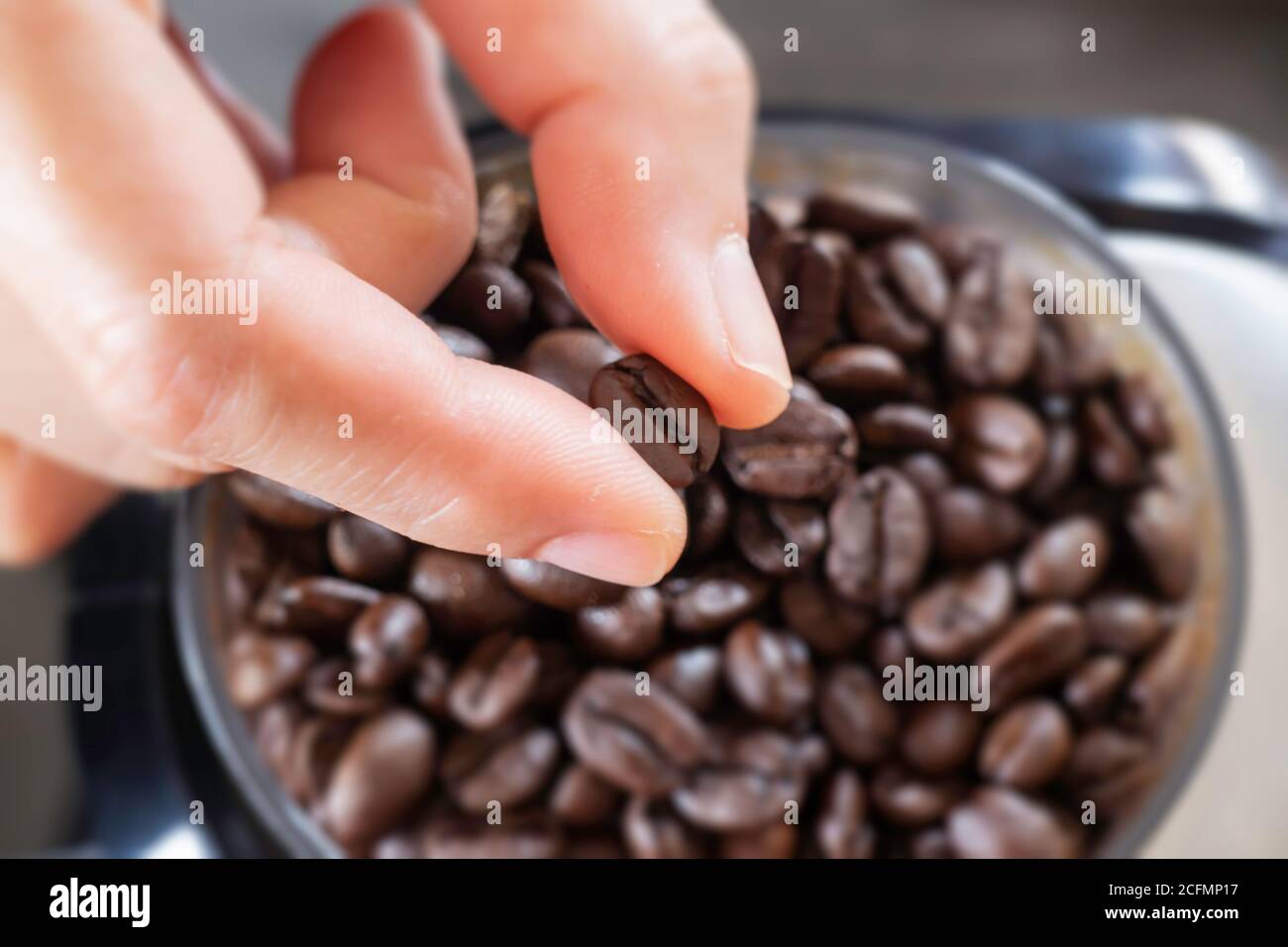 Grains de café fraîchement torréfiés, photo Banque D'Images