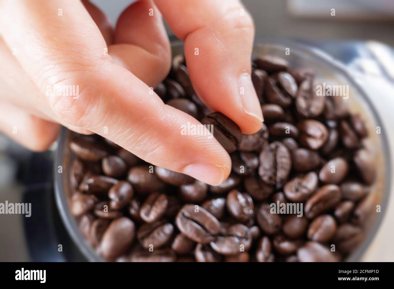 Grains de café fraîchement torréfiés, photo Banque D'Images