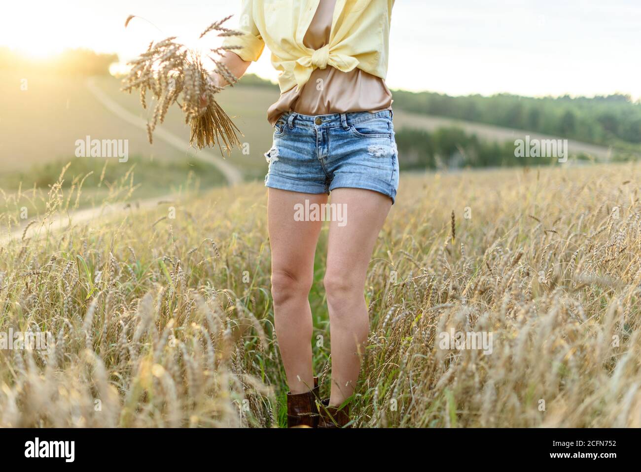 La silhouette féminine se dresse sur le fond des épis mûrissant du champ de blé d'or de prairie. Banque D'Images