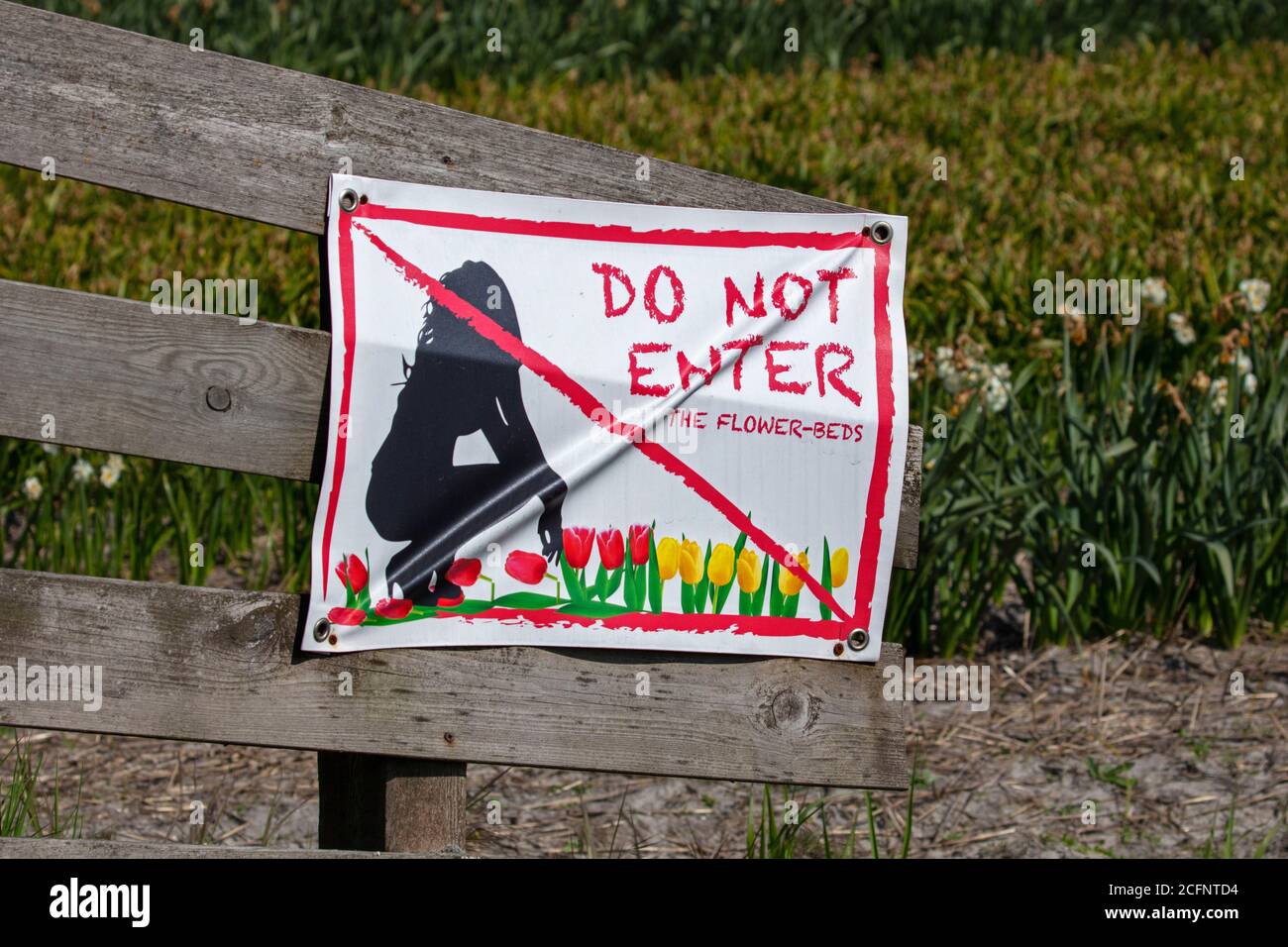 Les pays-Bas, Noordwijkerhout, au coeur de la région bulbe-culture, qui est célèbre pour ses tulipes. Panneau : ne pas entrer dans les parterres de fleurs. Banque D'Images