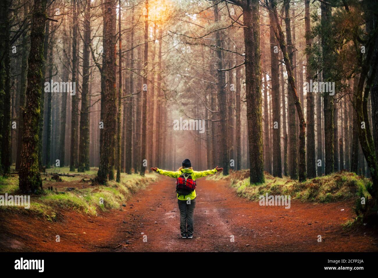 Concept de liberté et d'exploration du monde - pas de déforestation message avec des personnes debout, ouvrez les bras devant un belle forêt d'arbres élevés dans le Banque D'Images