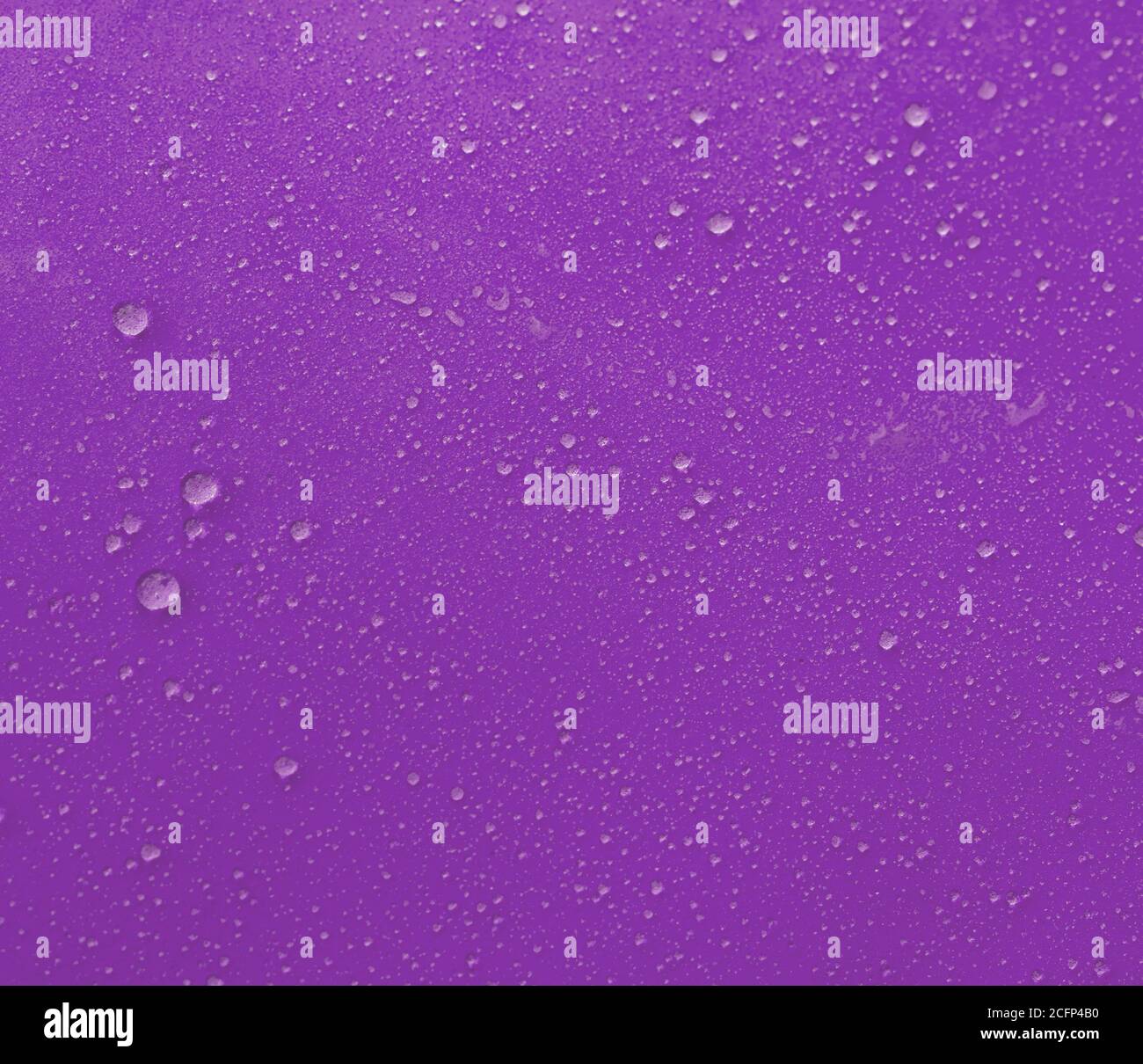 Gouttes d'eau sur fond magenta. Banque D'Images