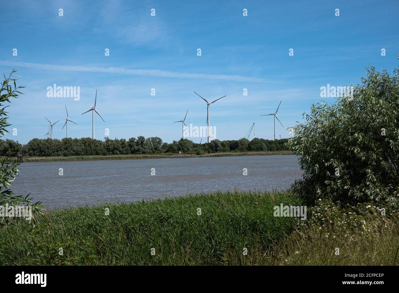 Ferme éolienne sur les rives de l'Escaut à Anvers Banque D'Images
