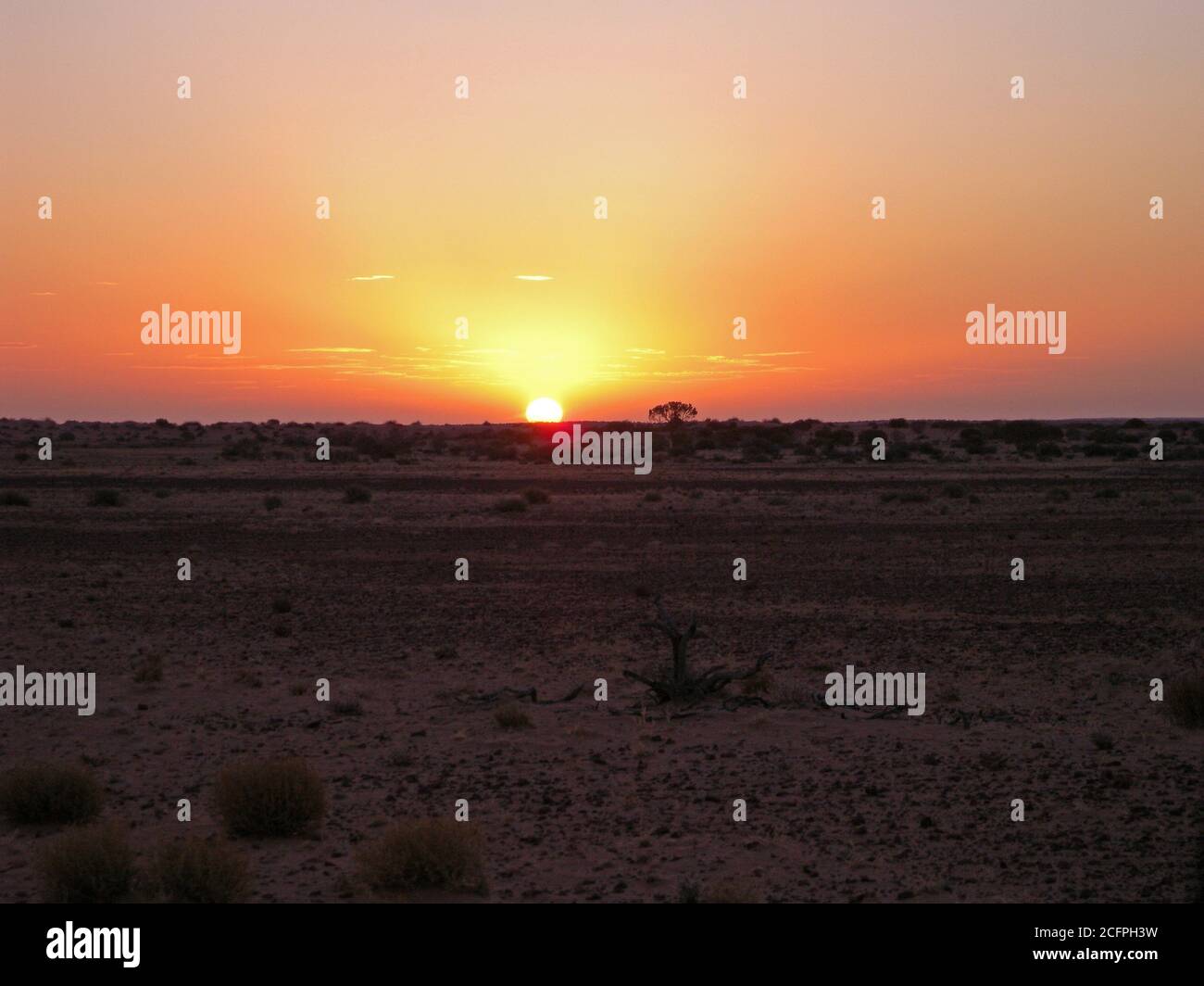 Lever du soleil sur l'Outback australien, Australie Banque D'Images