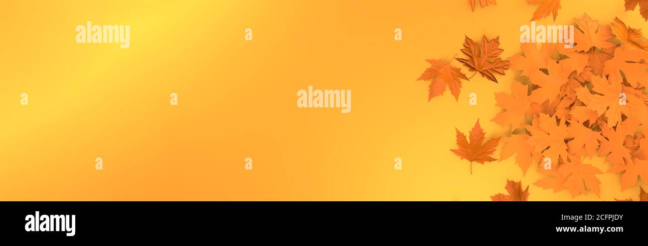 L'automne laisse un arrière-plan panoramique. Illutration de modèle abstrait de feuille d'automne orange. Laisse une maquette florale. rendu 3d. Banque D'Images