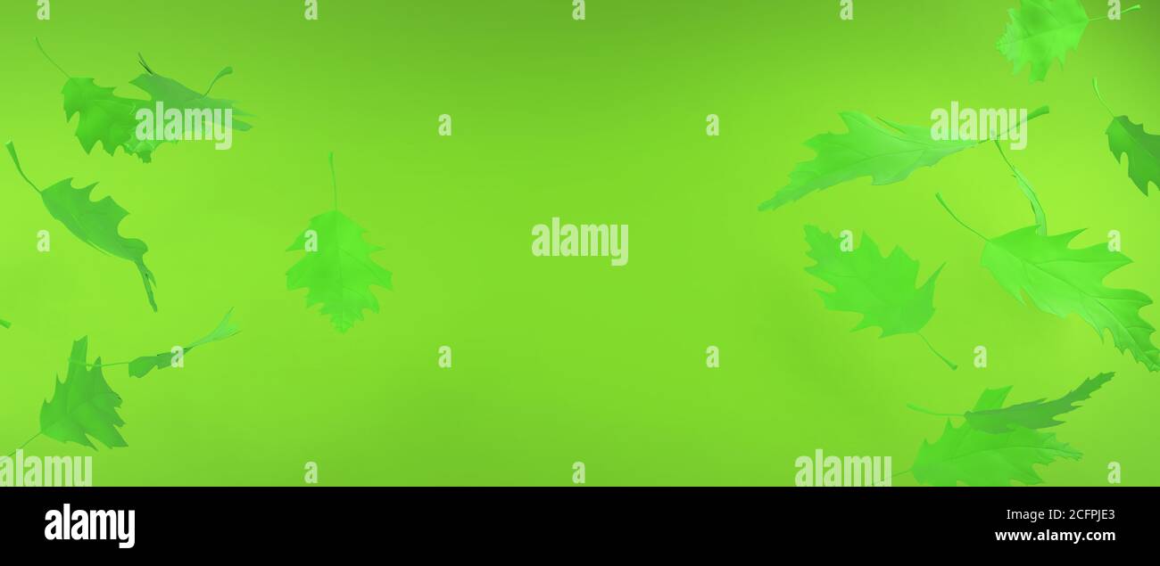 Arrière-plan des feuilles d'automne. Green Fall résumé template illutracation. Laisse une maquette florale. rendu 3d. Banque D'Images