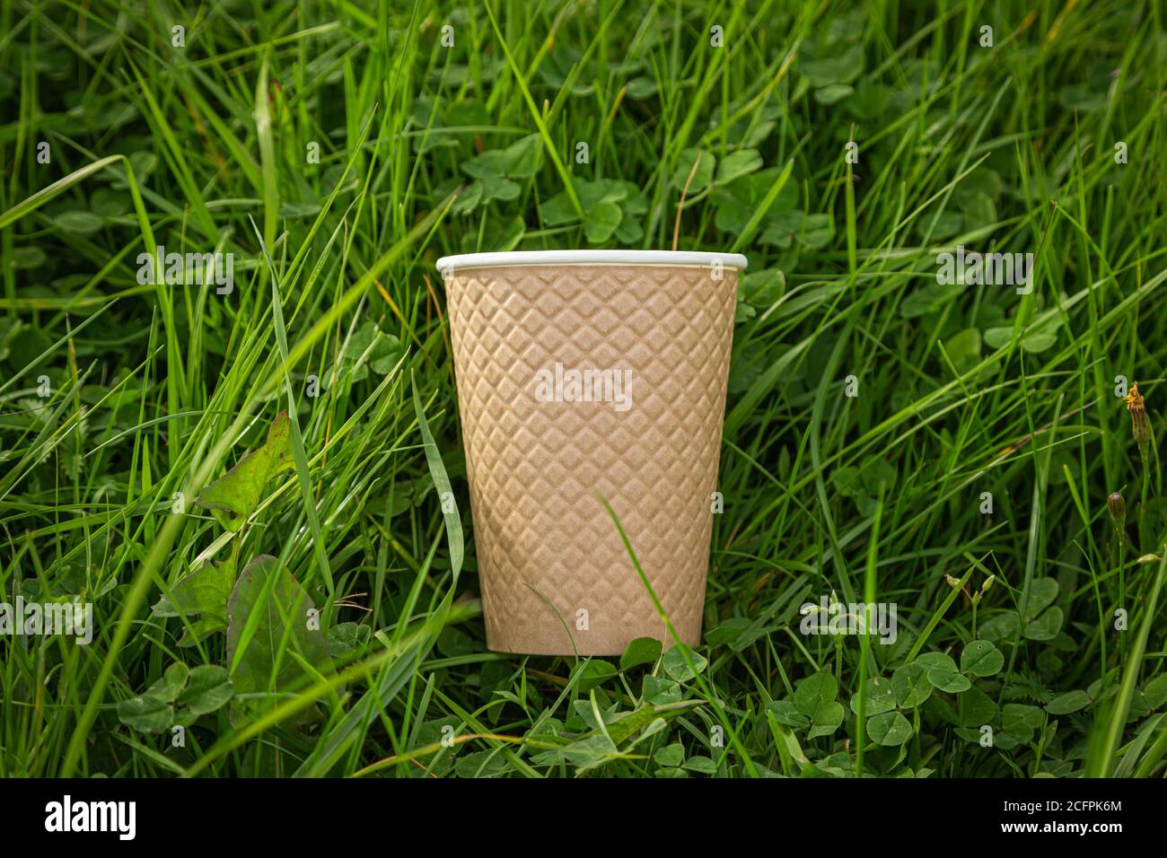 la tasse en papier texturé repose sur l'herbe luxuriante Banque D'Images