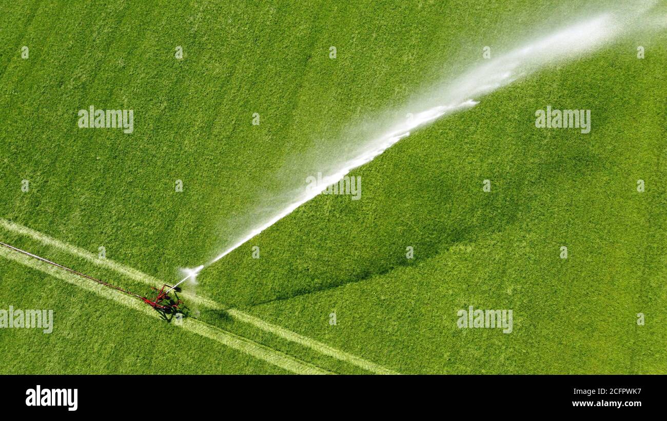 Un arroseur irrigue un pré sur un sec chaud Journée en été à la campagne aux pays-Bas Banque D'Images