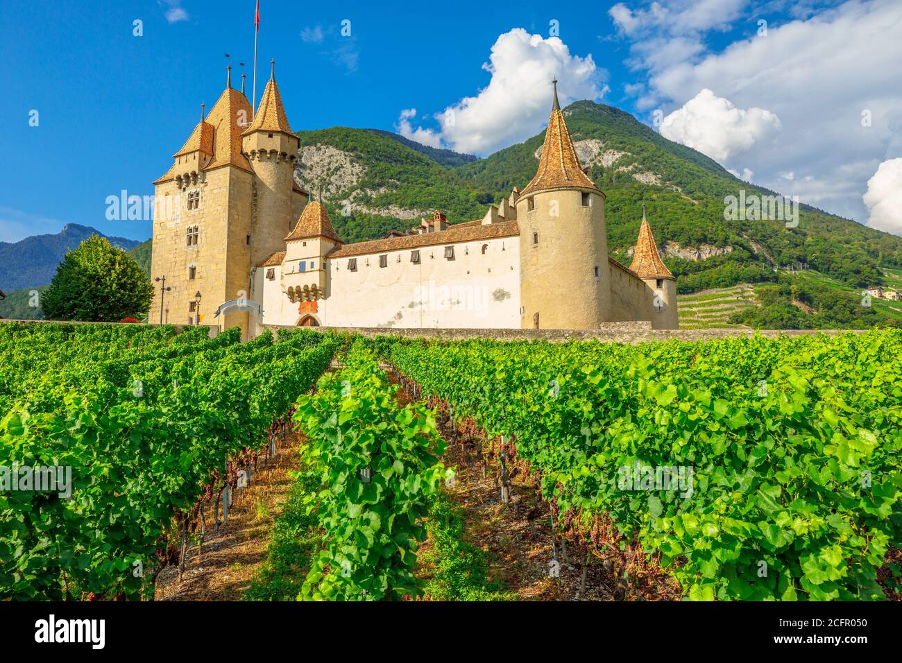 Château d'Aigle dans le canton de Vaud, Suisse. Le château d'Aigle surplombe les vignobles en terrasse environnants et les Alpes suisses. Rangées de vignes en croissance pendant Banque D'Images