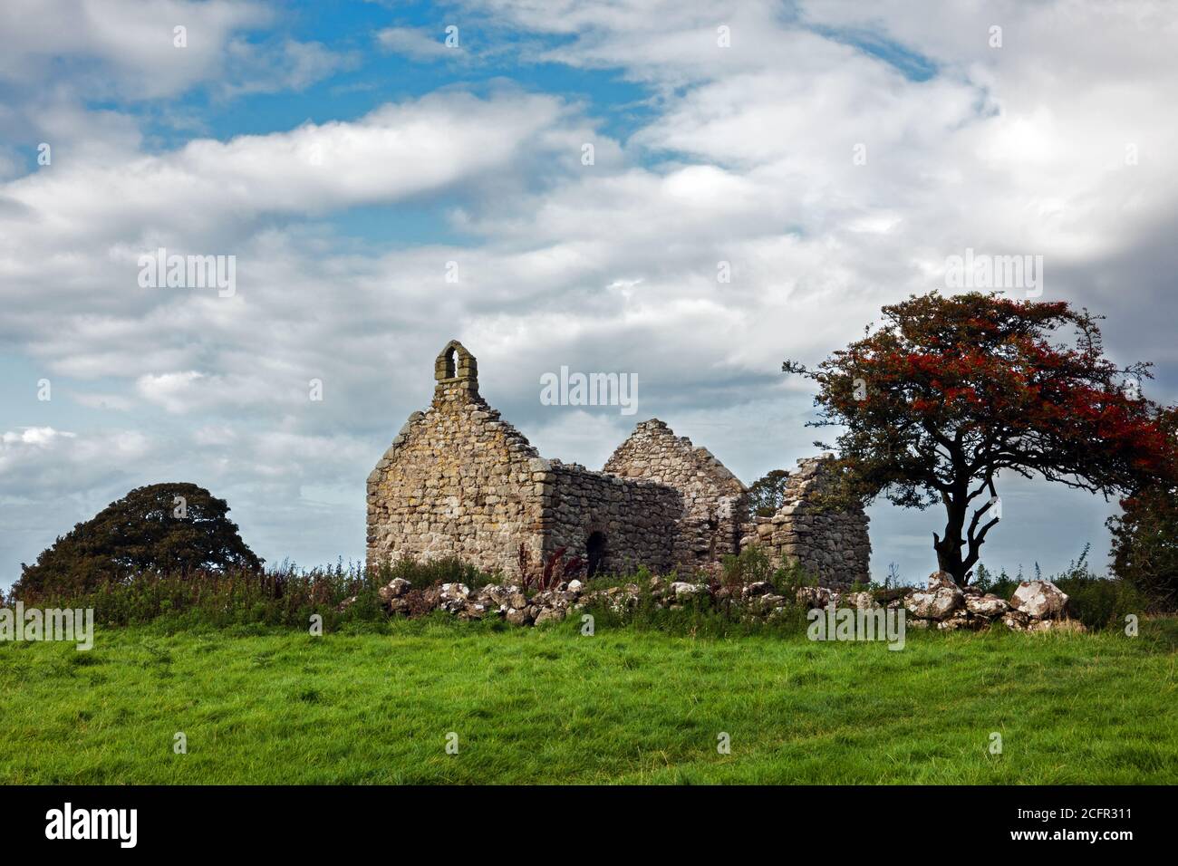 Capel Lligwy est une chapelle en ruines du XIIe siècle près de Ros Lligwy à Anglesey, au nord du pays de Galles. C'est maintenant un bâtiment classé de grade II. Banque D'Images