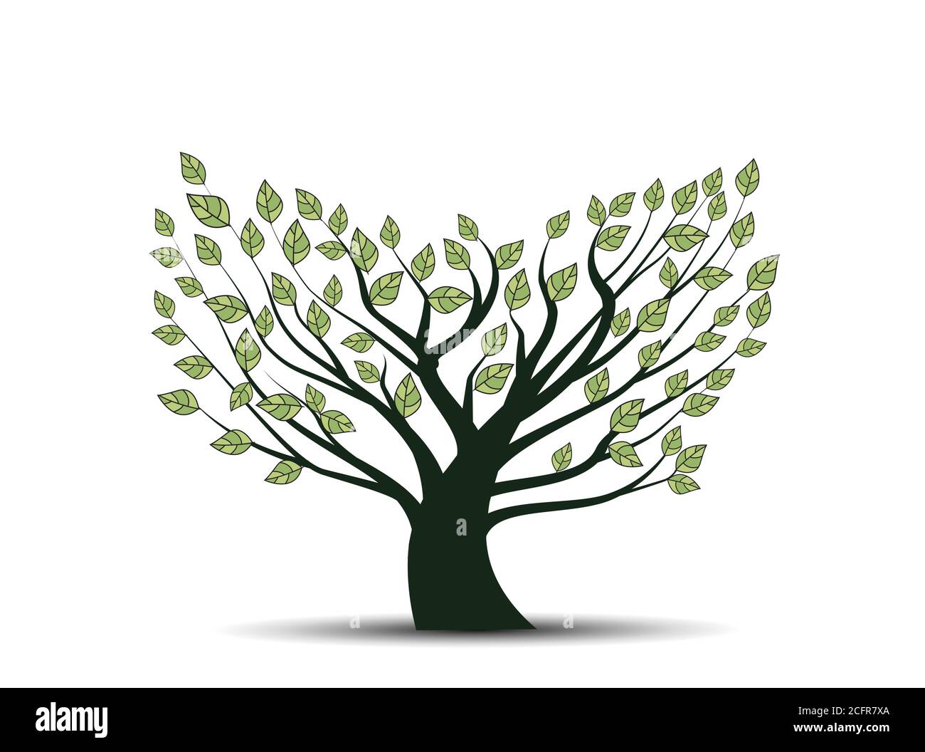 Illustration vectorielle d'un arbre avec des feuilles sur fond blanc. Arrière-plan naturel Illustration de Vecteur