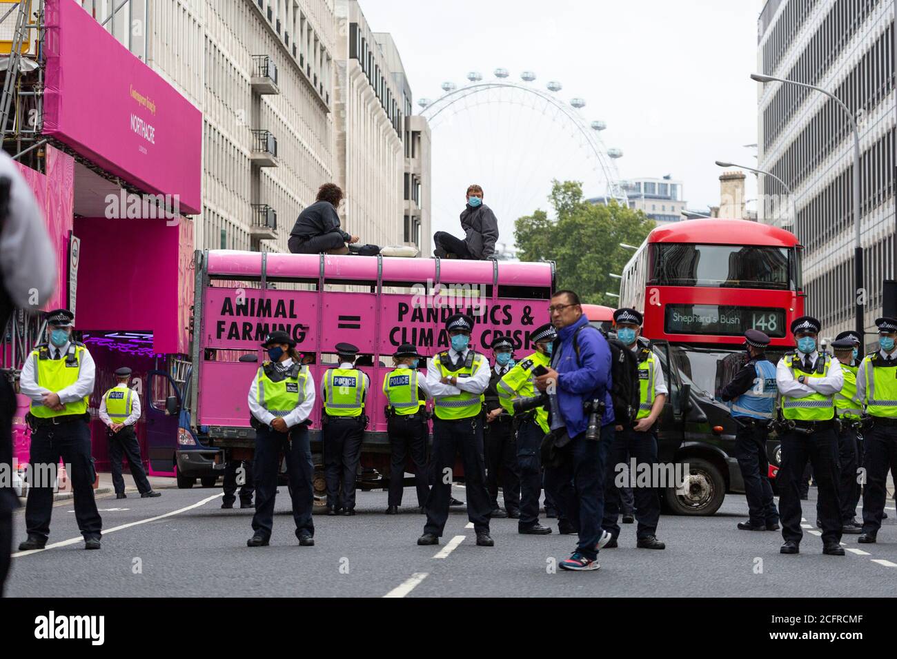 Bloc routier de la rébellion animale avec camion d'abattoir à l'extérieur du ministère de la Santé et des soins sociaux, Londres, 3 septembre 2020 Banque D'Images